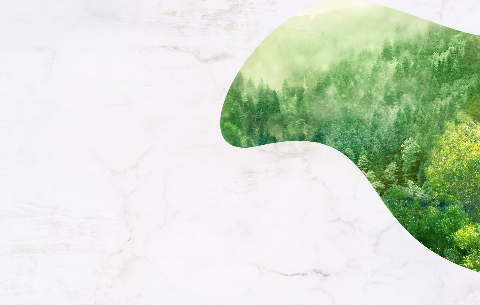 筷子&鱼缸背景1920*1223